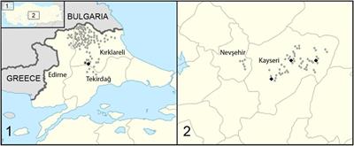 Investigation of Echinococcus multilocularis in Environmental Definitive Host Feces in the Asian and the European Parts of Turkey